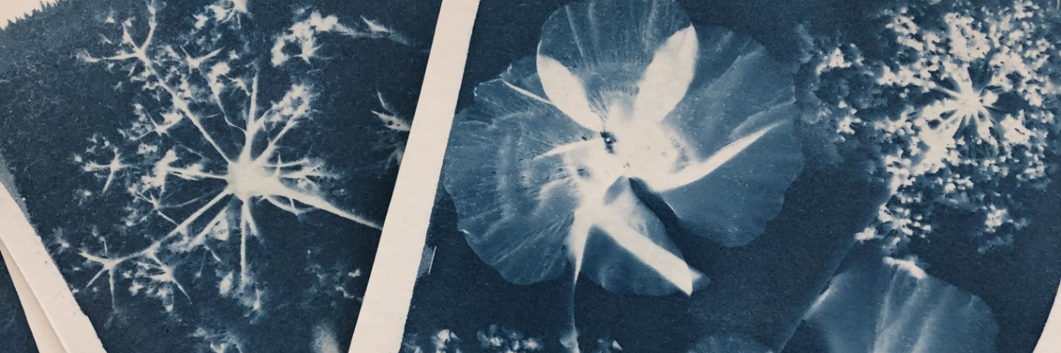 Cyanotype créatif, atelier de création artistique