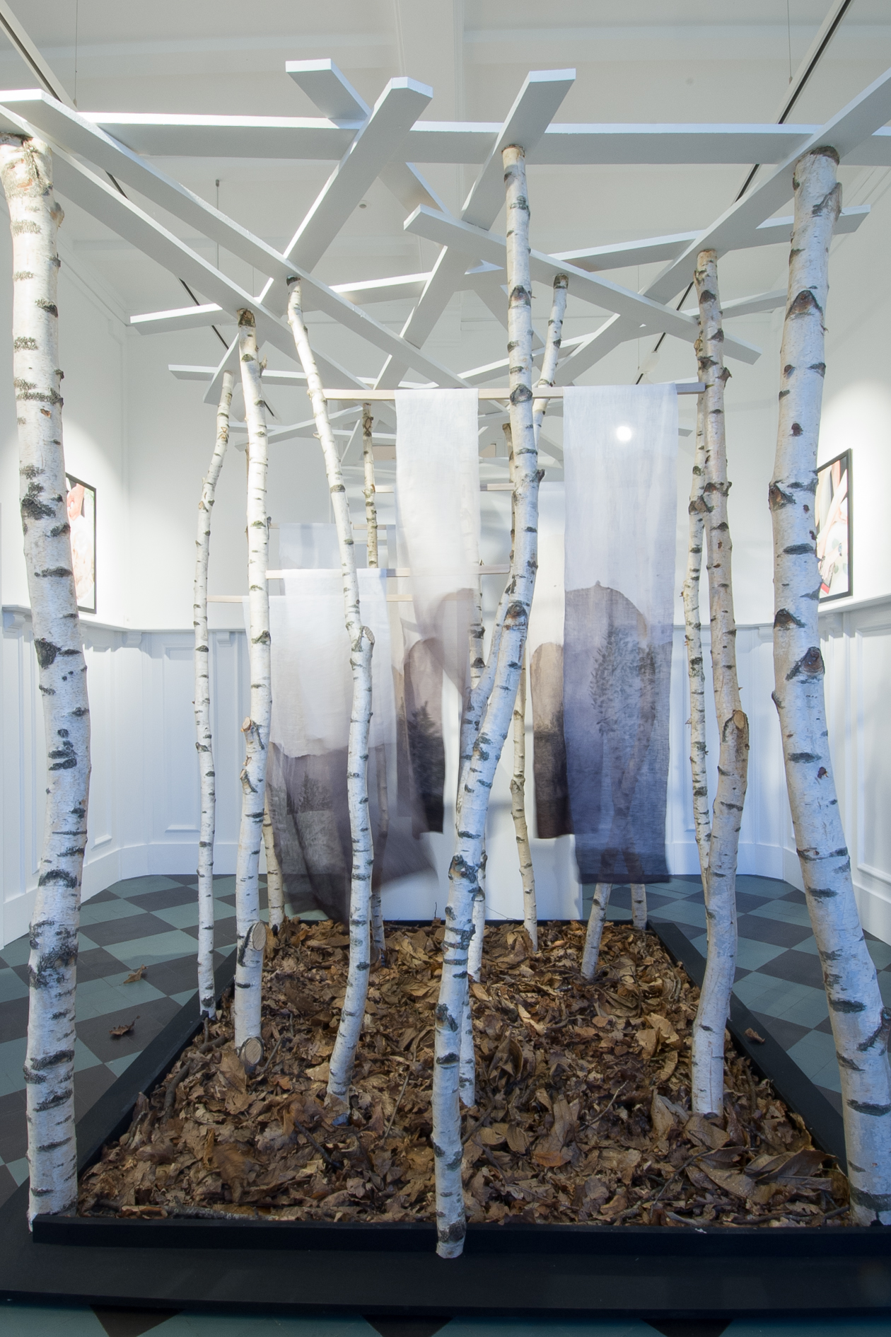 Exposition AEquo