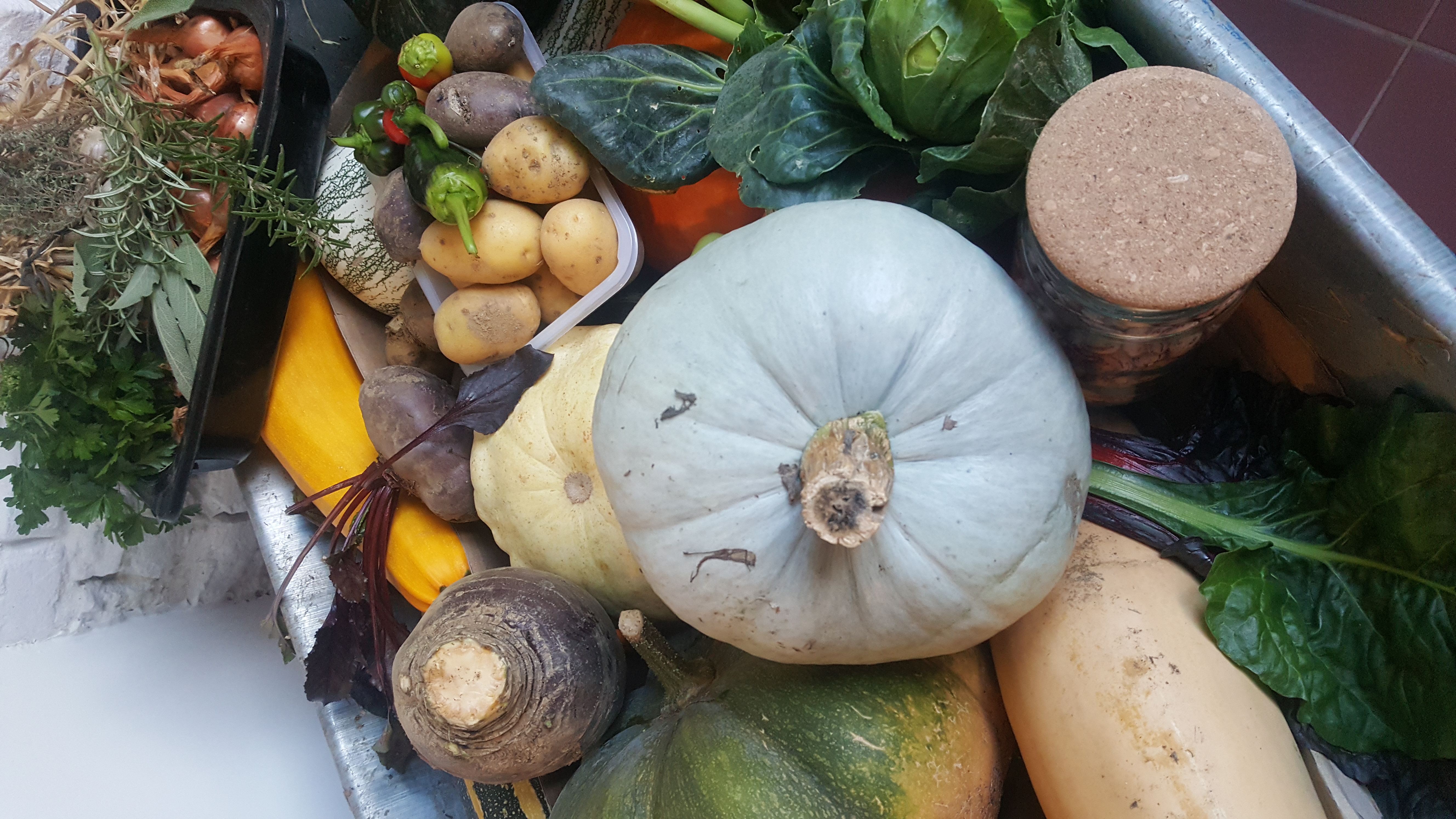 Récoltes de nos jardins