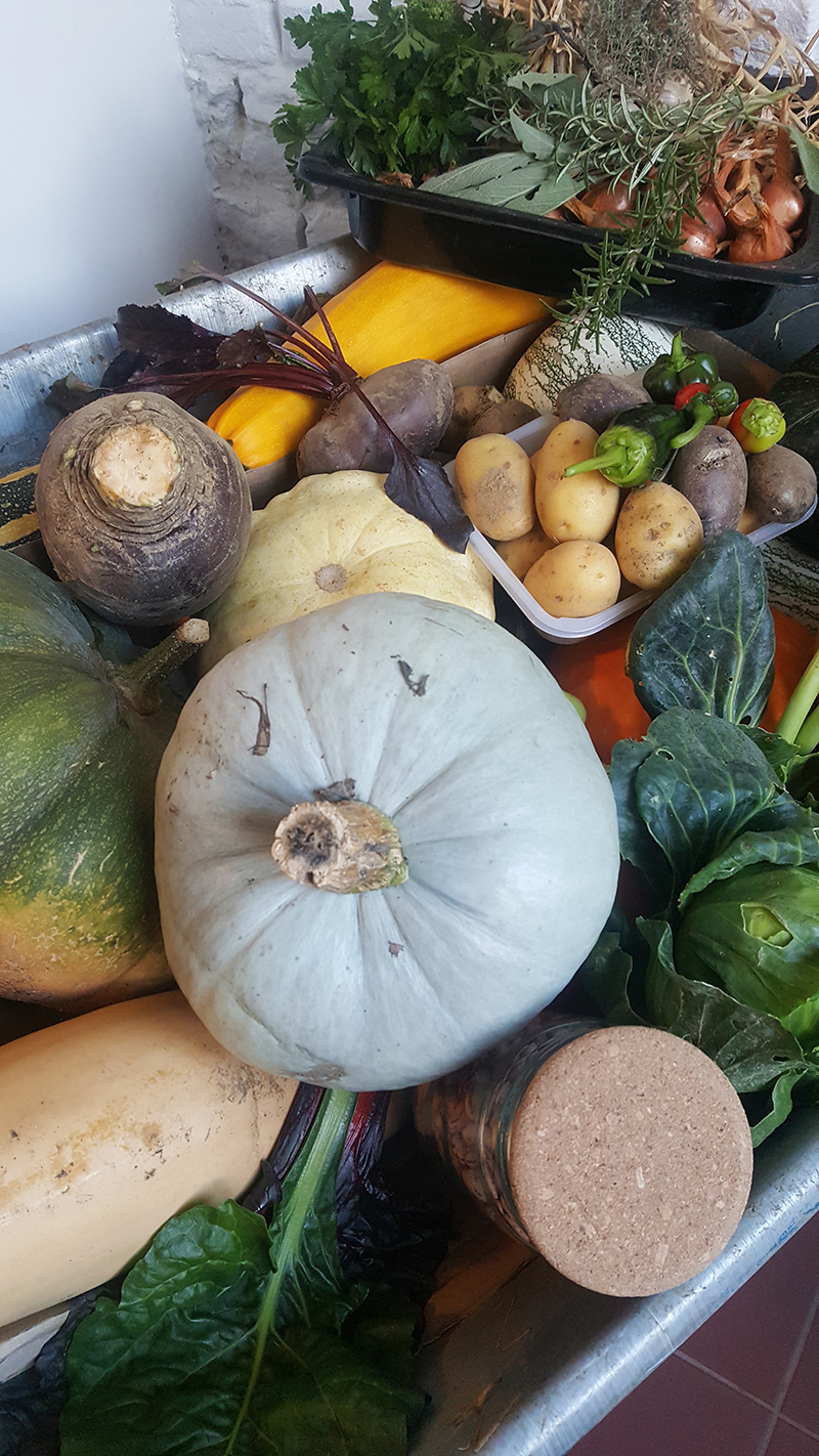 Légumes du jardin