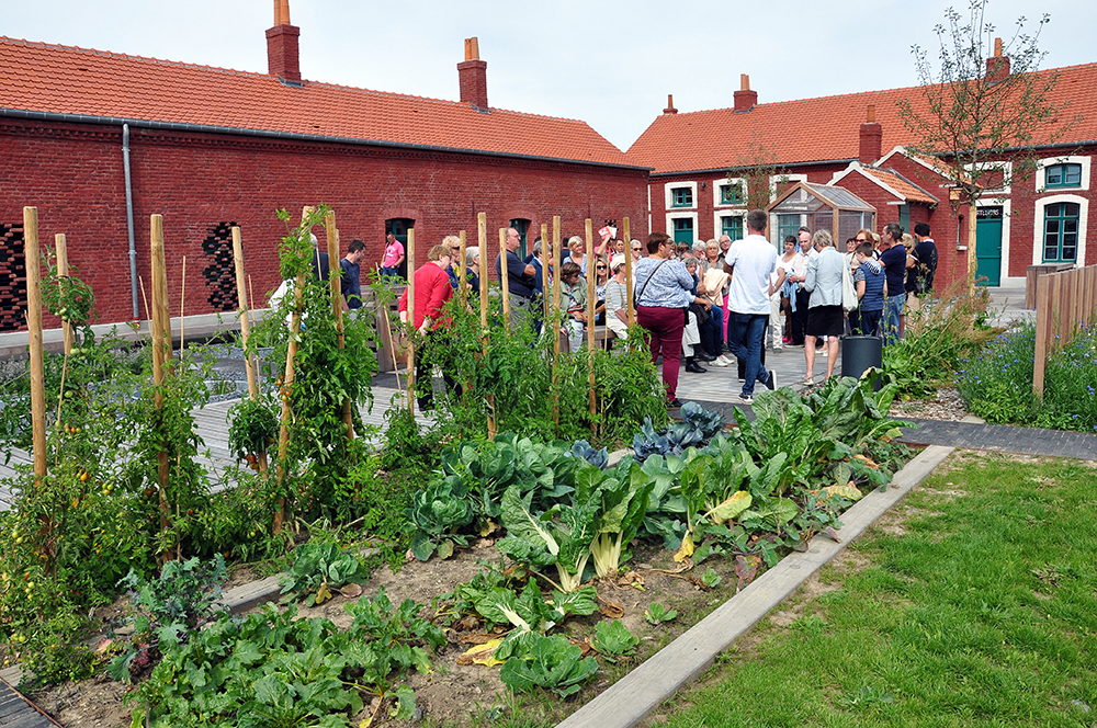Visite dans les jardins