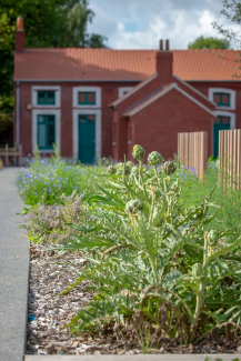 Rendez-vous au jardin - Artichaut